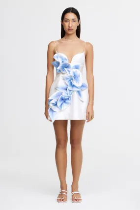 BILBO MINI DRESS Fresh Look