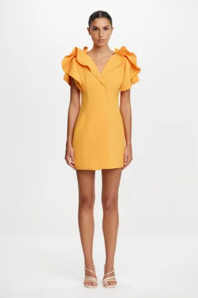 Modern Soft NORMANHILL MINI DRESS