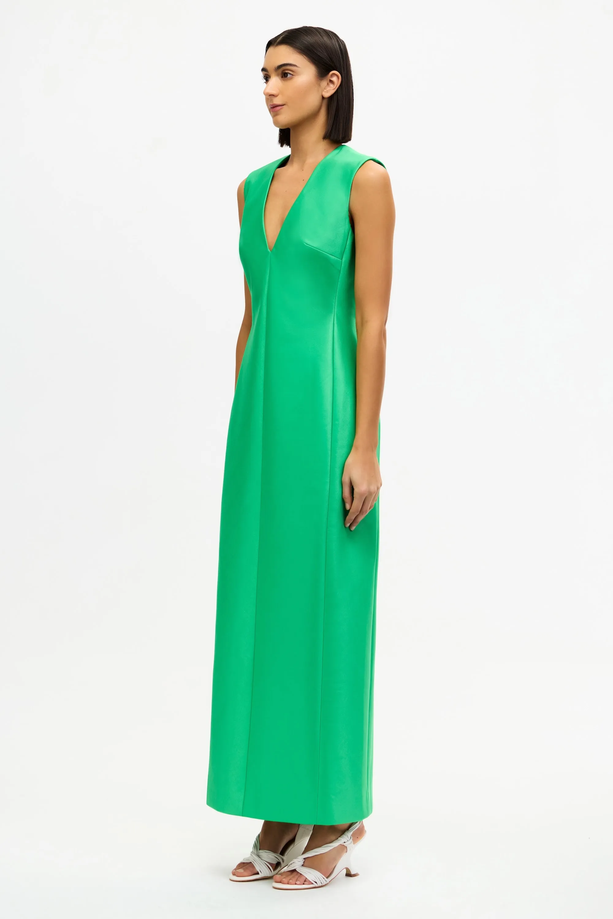 Sleek Silhouette RAYNI MAXI DRESS
