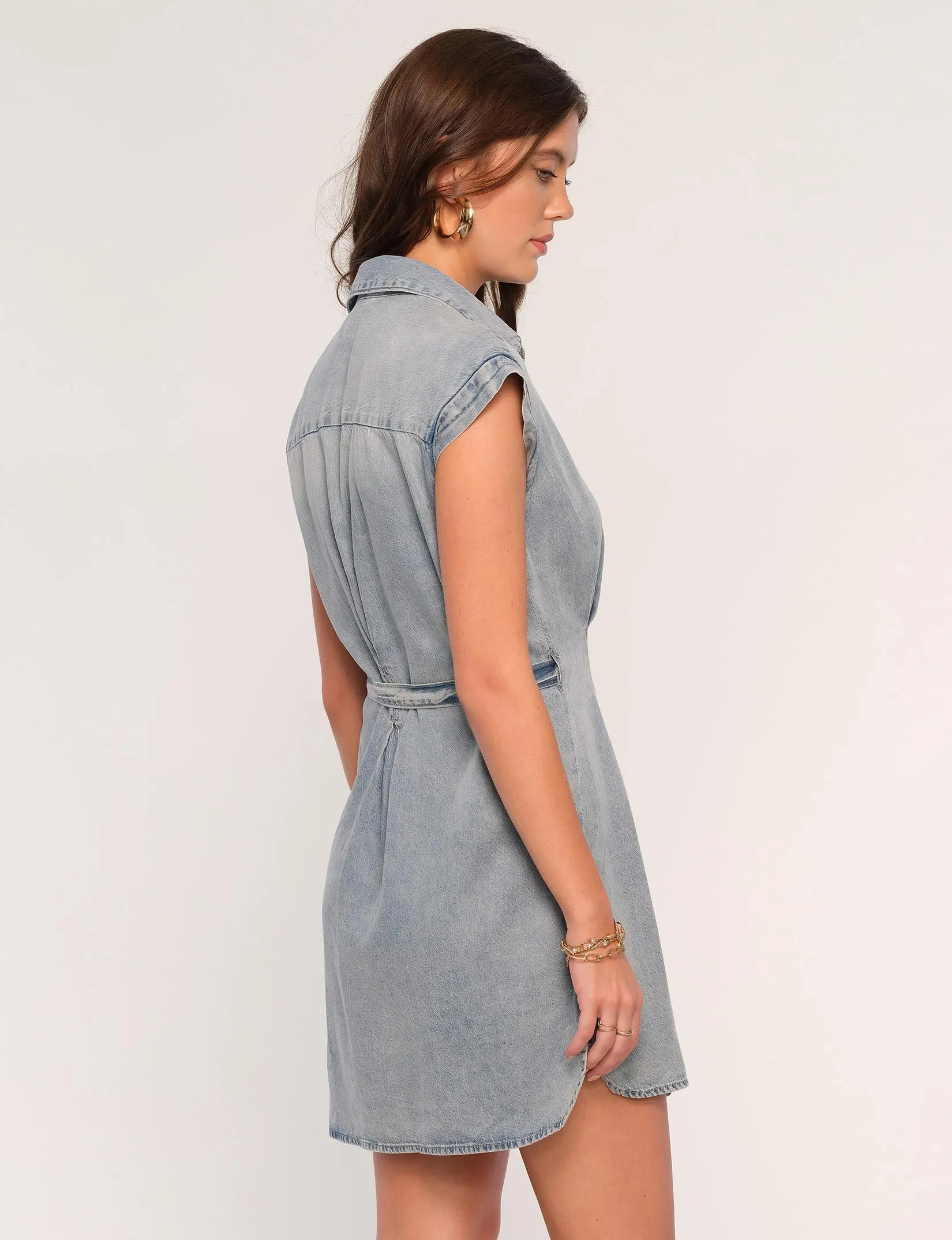 Alexis Dress Shine Skin